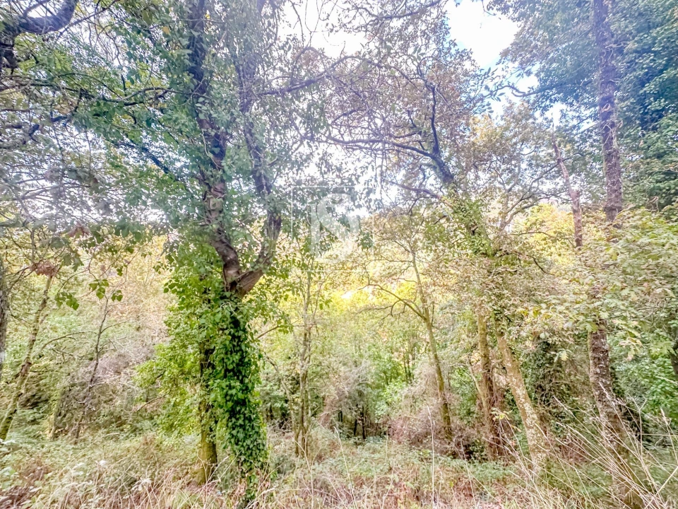 Moradia para Venda em Candemil Foto 49