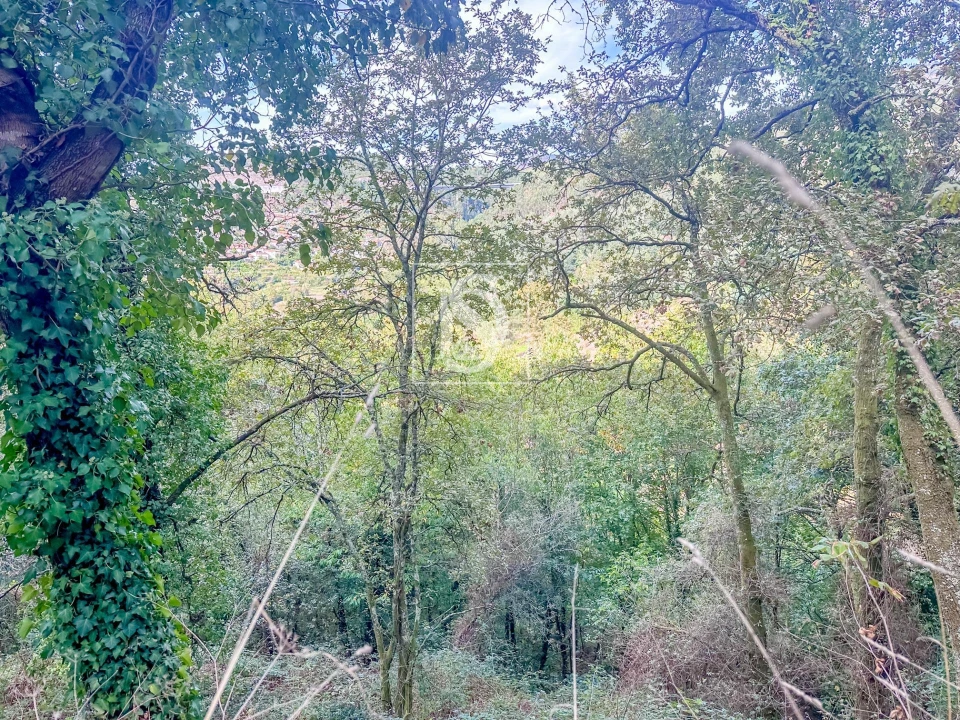 Moradia para Venda em Candemil Foto 50