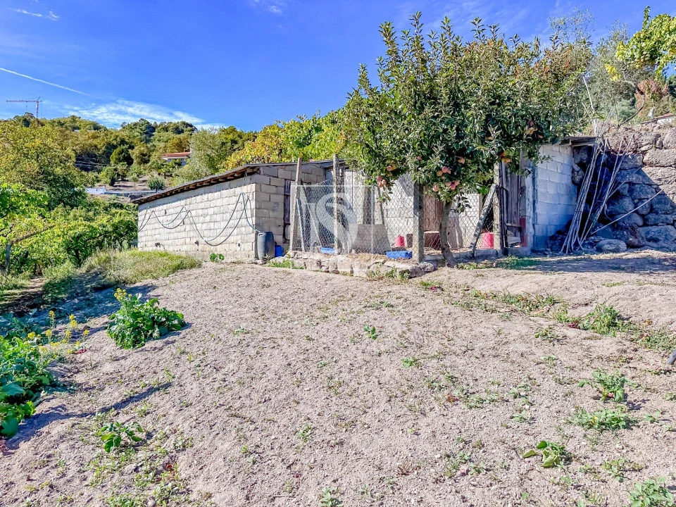 Terreno para Venda em Grilo Foto 1
