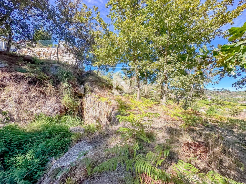 Terreno para Venda em Grilo Foto 30