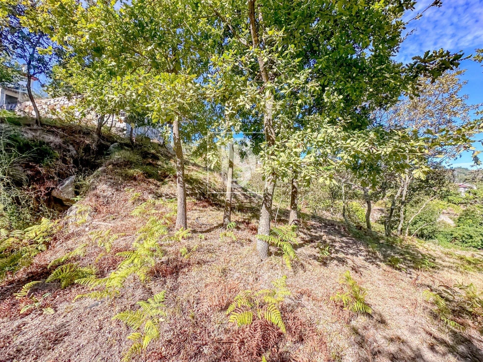 Terreno para Venda em Grilo Foto 32
