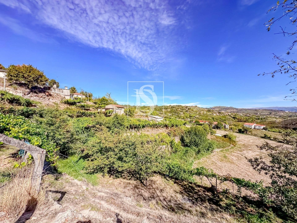 Terreno para Venda em Grilo Foto 33