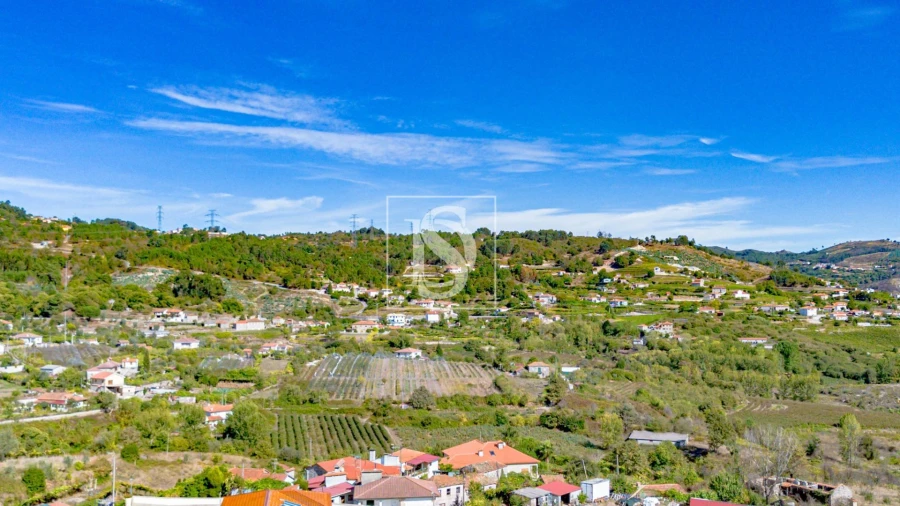 Terreno para Venda em Grilo Foto 18