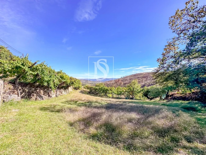 Terreno para Venda em Grilo Foto 2