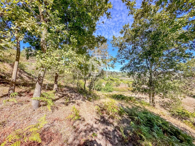 Terreno para Venda em Grilo Foto 31