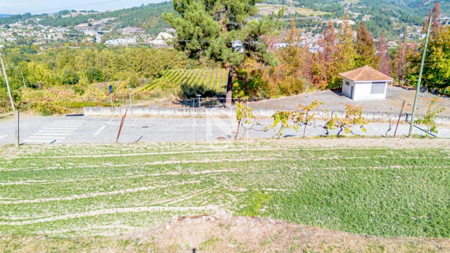 Terreno para Venda em Padronelo Foto 14