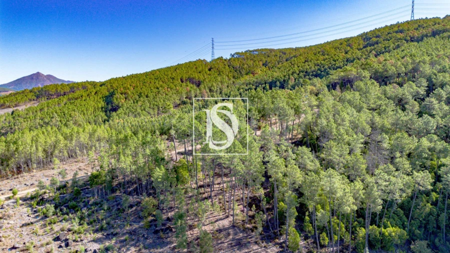 Moradia T2 para Venda em Rebordelo Foto 16