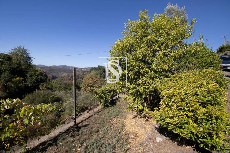 Moradia T2 para Venda em Rebordelo Foto 21