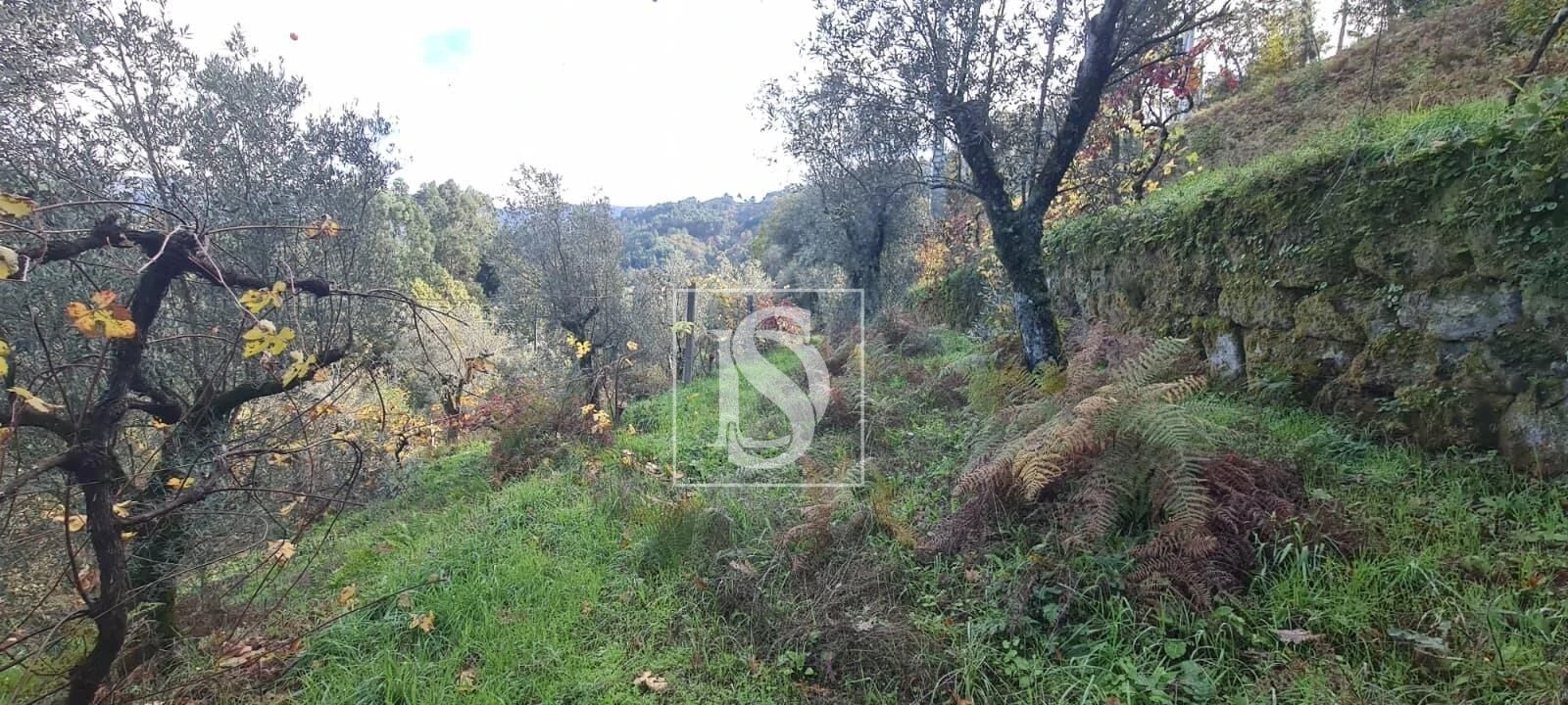 Terreno Agricola ou Rústico para Venda em Candemil Foto 16