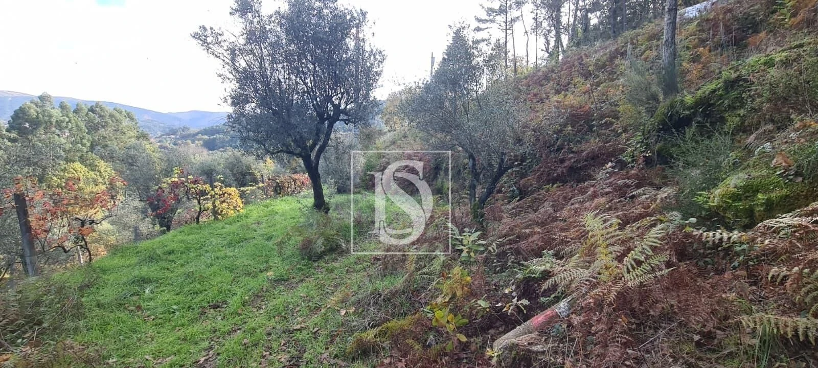 Terreno Agricola ou Rústico para Venda em Candemil Foto 8