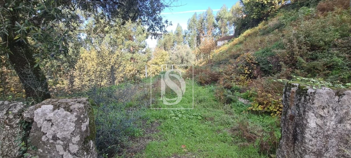 Terreno Agricola ou Rústico para Venda em Candemil Foto 7