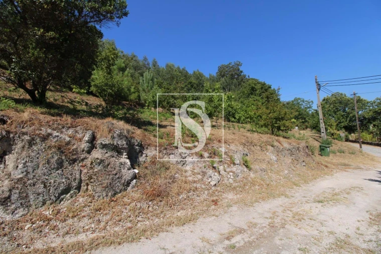 Terreno Agricola ou Rústico para Venda em Salvador do Monte Foto 5