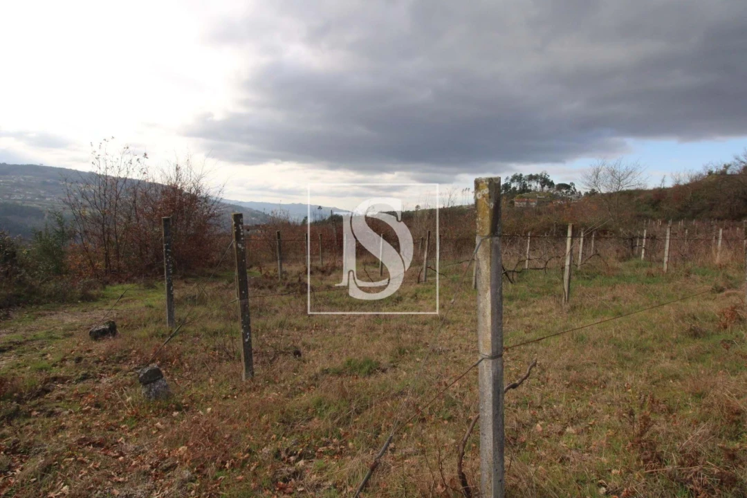 Terreno Agricola ou Rústico para Venda em Salvador do Monte Foto 16