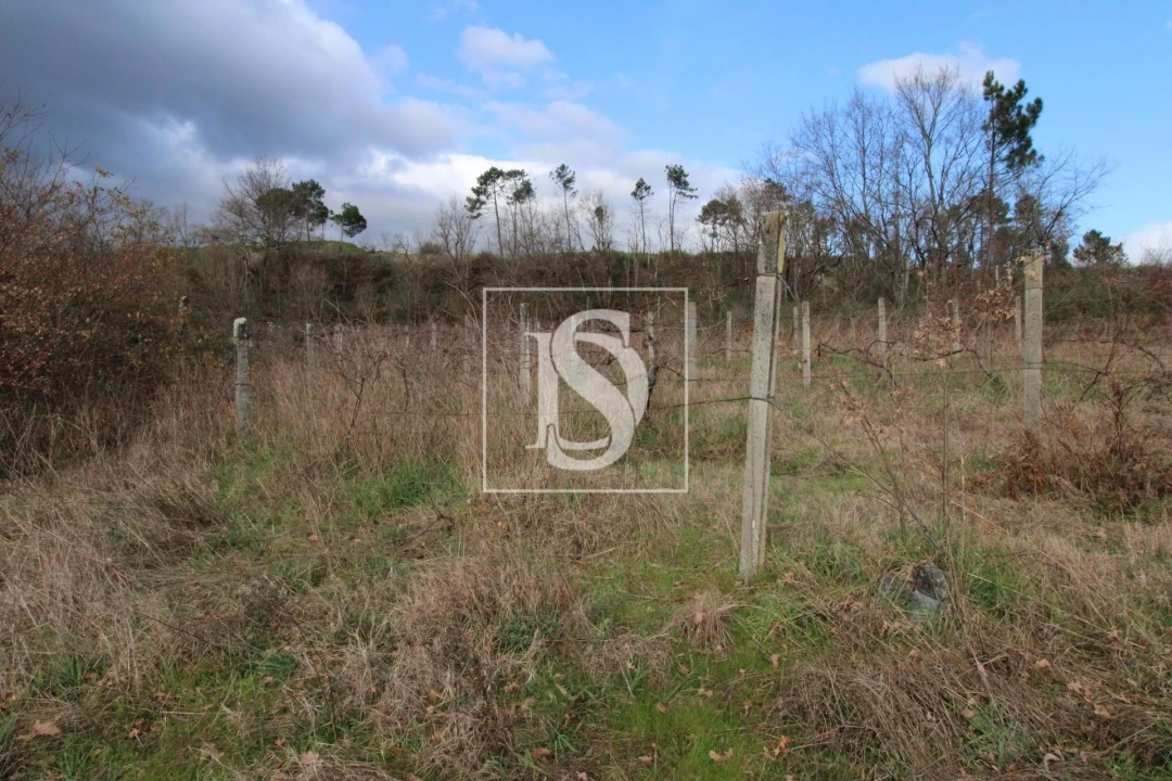 Terreno Agricola ou Rústico para Venda em Salvador do Monte Foto 6