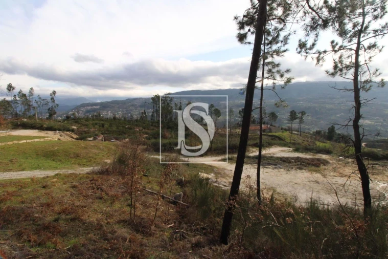 Terreno Agricola ou Rústico para Venda em Salvador do Monte Foto 7