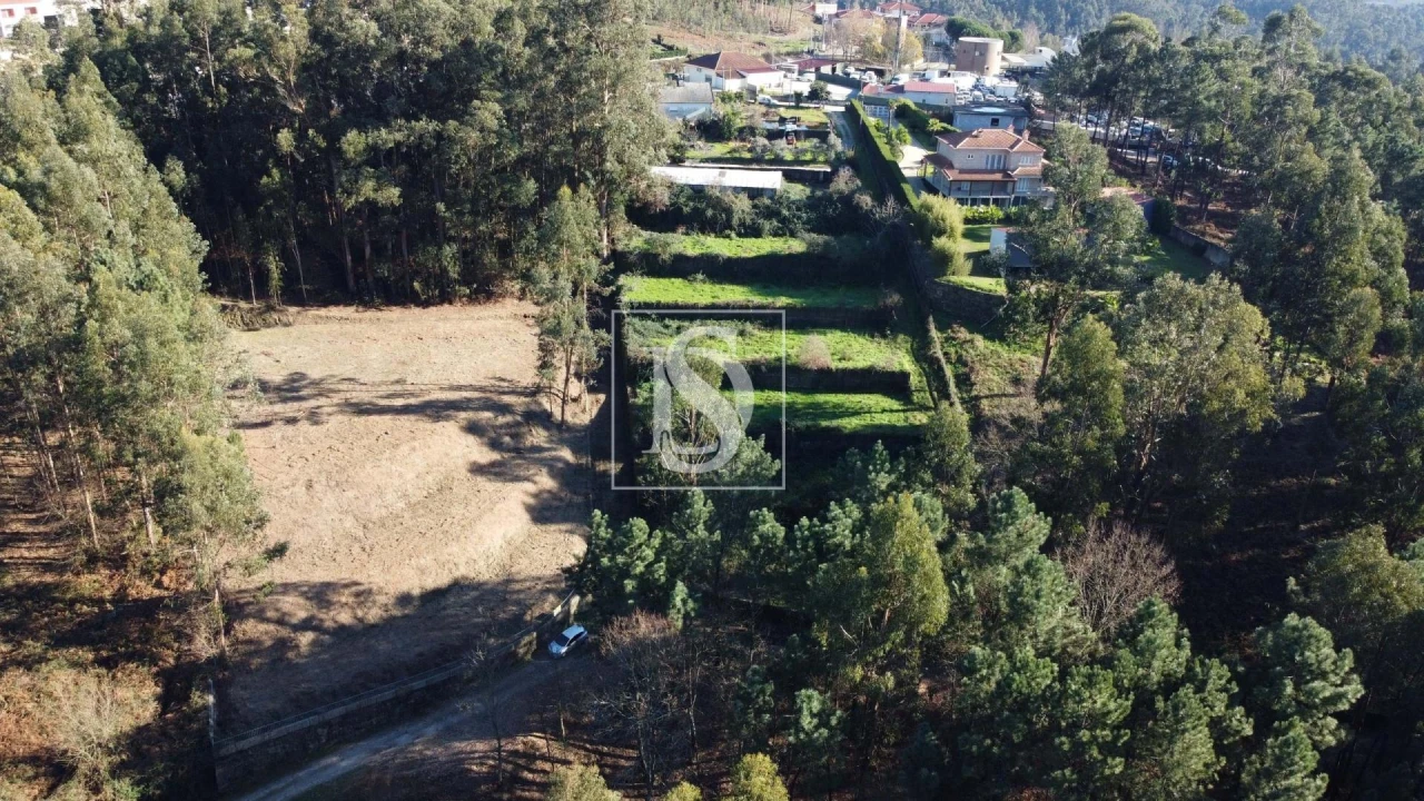 Terreno Agricola ou Rústico para Venda em Telões Foto 5
