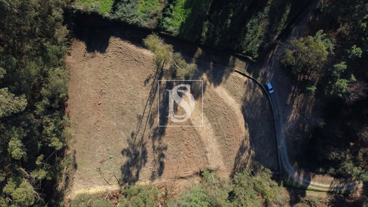 Terreno Agricola ou Rústico para Venda em Telões Foto 7