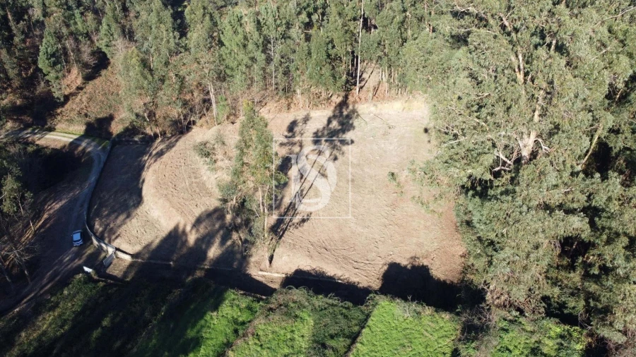Terreno Agricola ou Rústico para Venda em Telões Foto 1