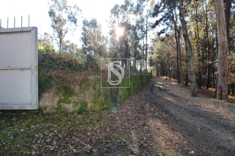 Terreno Agricola ou Rústico para Venda em Telões Foto 17