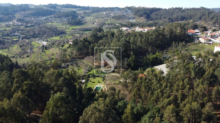 Terreno Agricola ou Rústico para Venda em Telões Foto 19