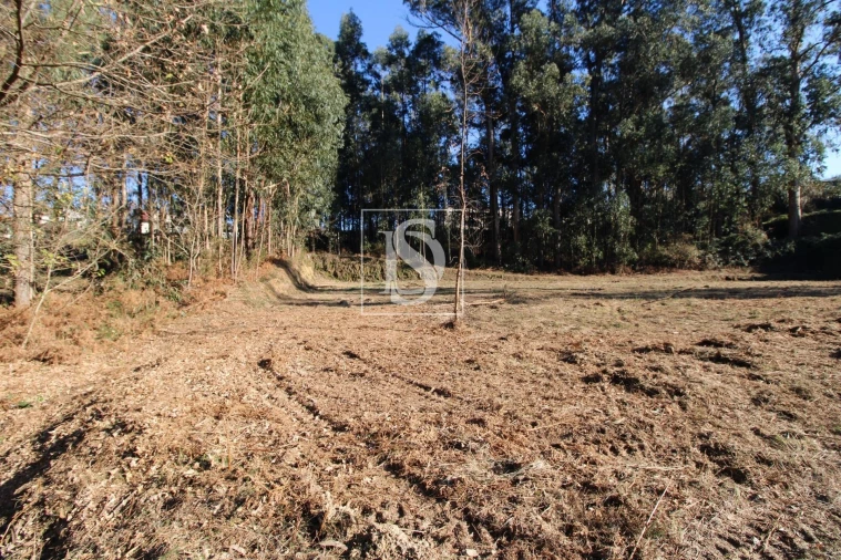 Terreno Agricola ou Rústico para Venda em Telões Foto 3