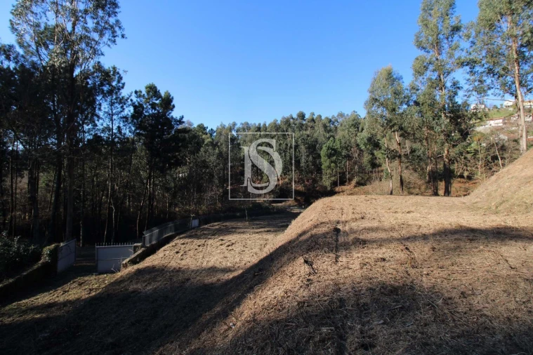 Terreno Agricola ou Rústico para Venda em Telões Foto 10
