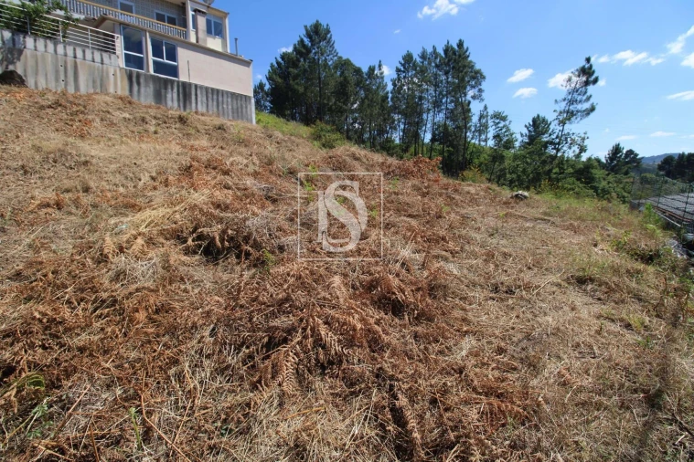 Terreno para Venda em Telões Foto 9