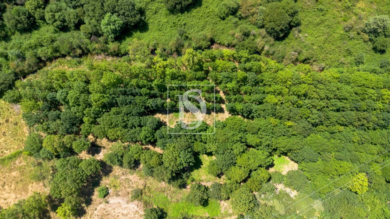 Moradia T3 para Venda em Amarante (São Gonçalo), Madalena, Cepelos e Gatão Foto 15