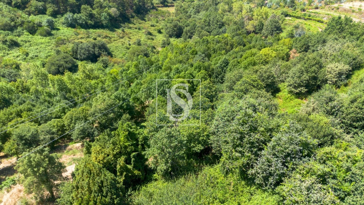 Moradia T3 para Venda em Amarante (São Gonçalo), Madalena, Cepelos e Gatão Foto 21