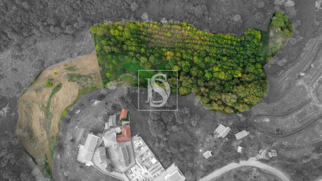 Moradia T3 para Venda em Amarante (São Gonçalo), Madalena, Cepelos e Gatão Foto 7