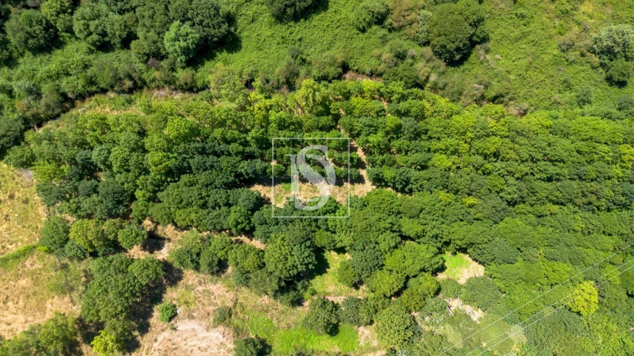 Moradia T3 para Venda em Amarante (São Gonçalo), Madalena, Cepelos e Gatão Foto 15