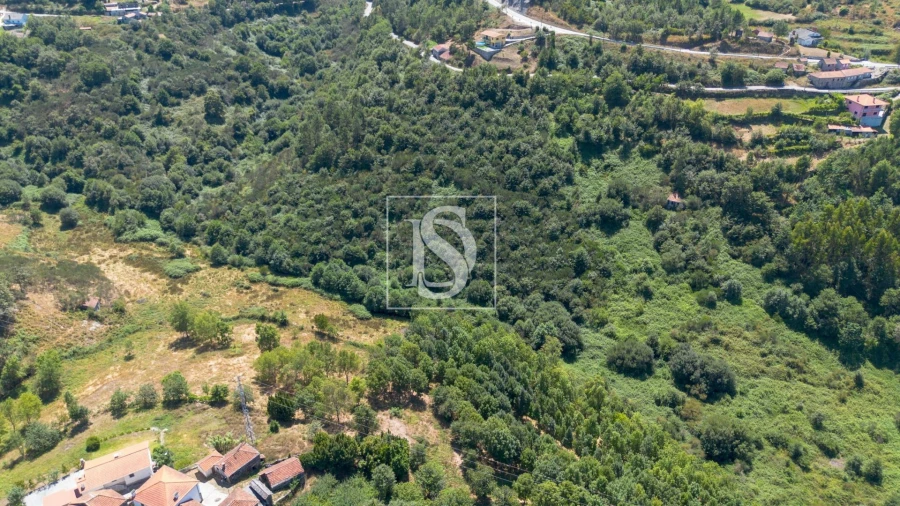 Moradia T3 para Venda em Amarante (São Gonçalo), Madalena, Cepelos e Gatão Foto 25