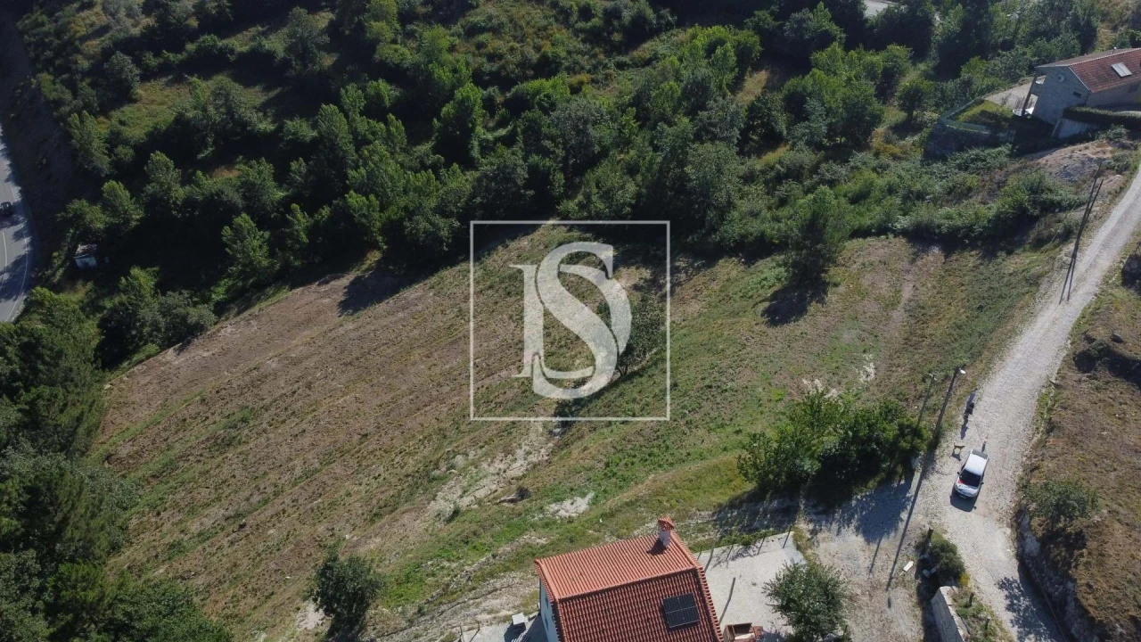 Terreno Agricola ou Rústico para Venda em Amarante (São Gonçalo), Madalena, Cepelos e Gatão Foto 6