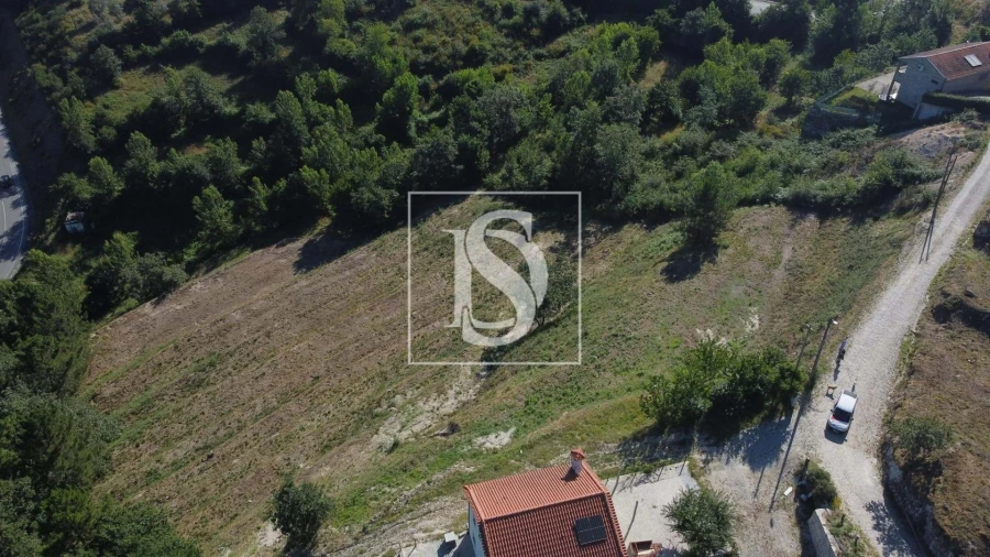 Terreno Agricola ou Rústico para Venda em Amarante (São Gonçalo), Madalena, Cepelos e Gatão Foto 6