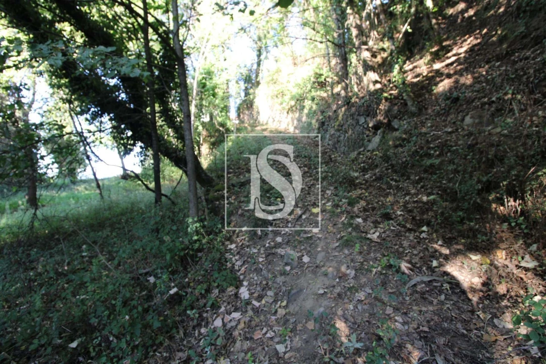 Terreno Agricola ou Rústico para Venda em Rebordelo Foto 3