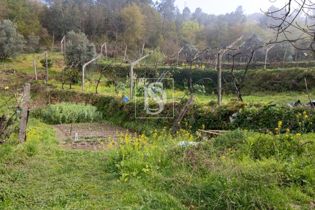 Moradia para Venda em Amarante (São Gonçalo), Madalena, Cepelos e Gatão Foto 14