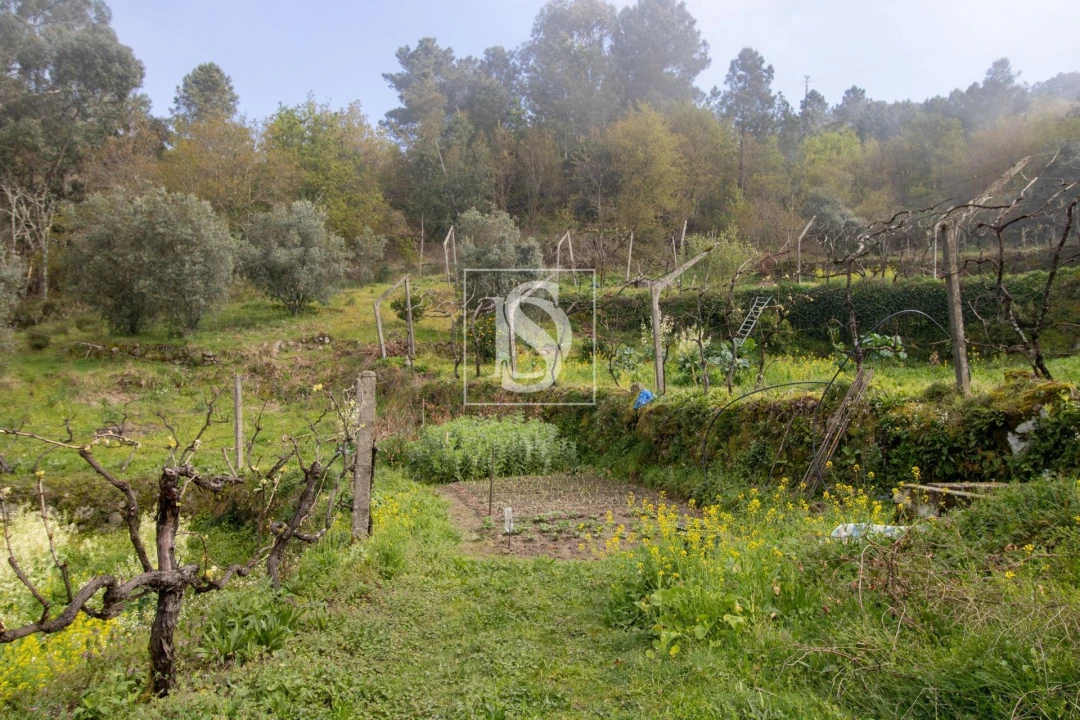 Moradia para Venda em Amarante (São Gonçalo), Madalena, Cepelos e Gatão Foto 15