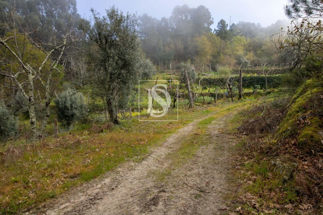 Moradia para Venda em Amarante (São Gonçalo), Madalena, Cepelos e Gatão Foto 16