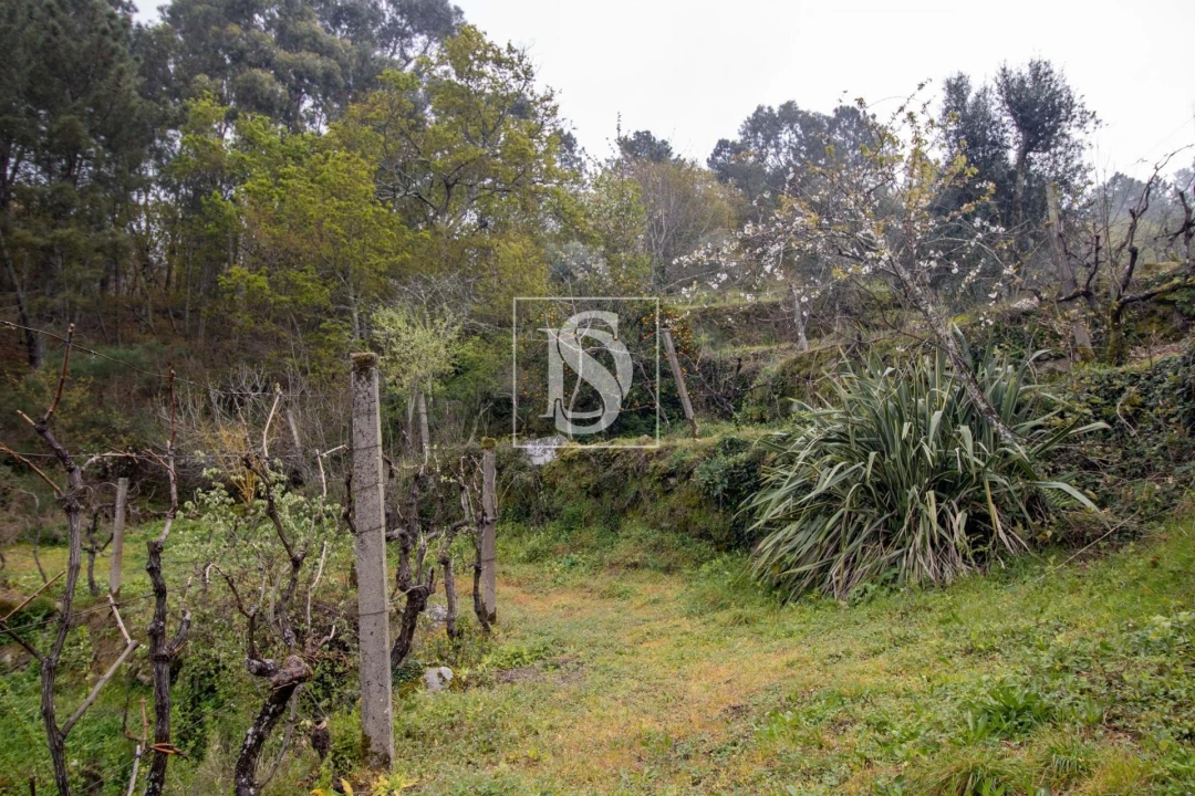 Moradia para Venda em Amarante (São Gonçalo), Madalena, Cepelos e Gatão Foto 17