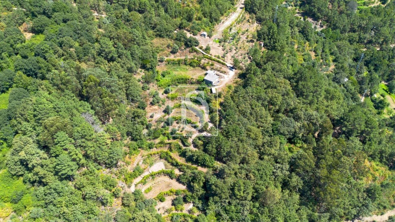 Moradia para Venda em Amarante (São Gonçalo), Madalena, Cepelos e Gatão Foto 2