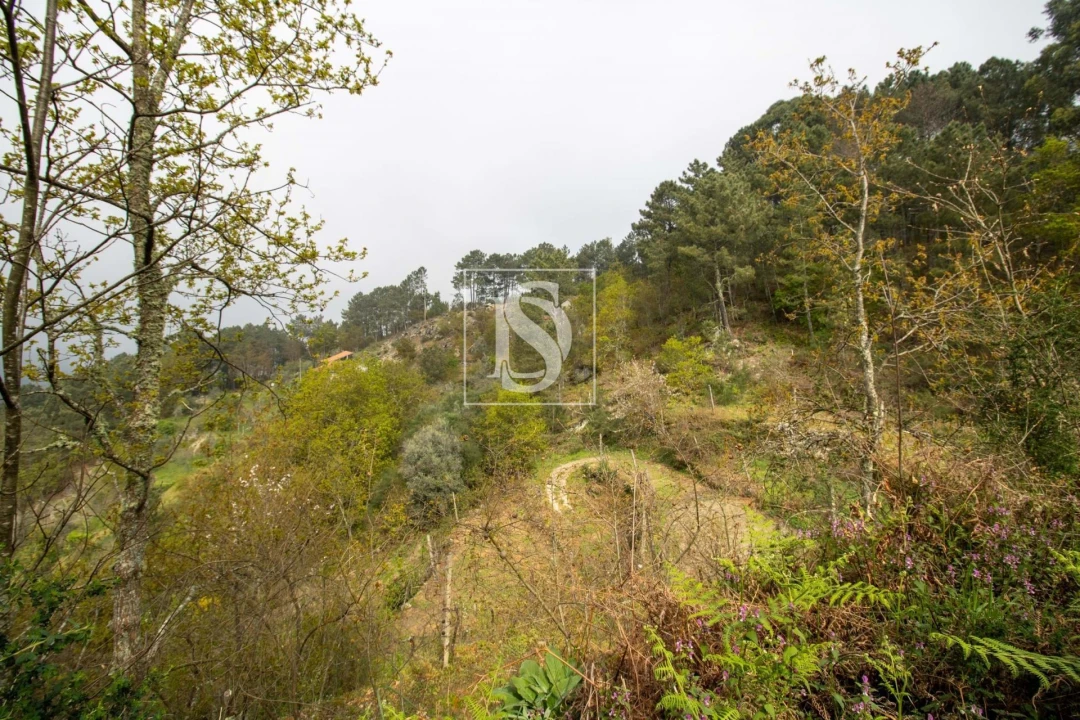 Moradia para Venda em Amarante (São Gonçalo), Madalena, Cepelos e Gatão Foto 21