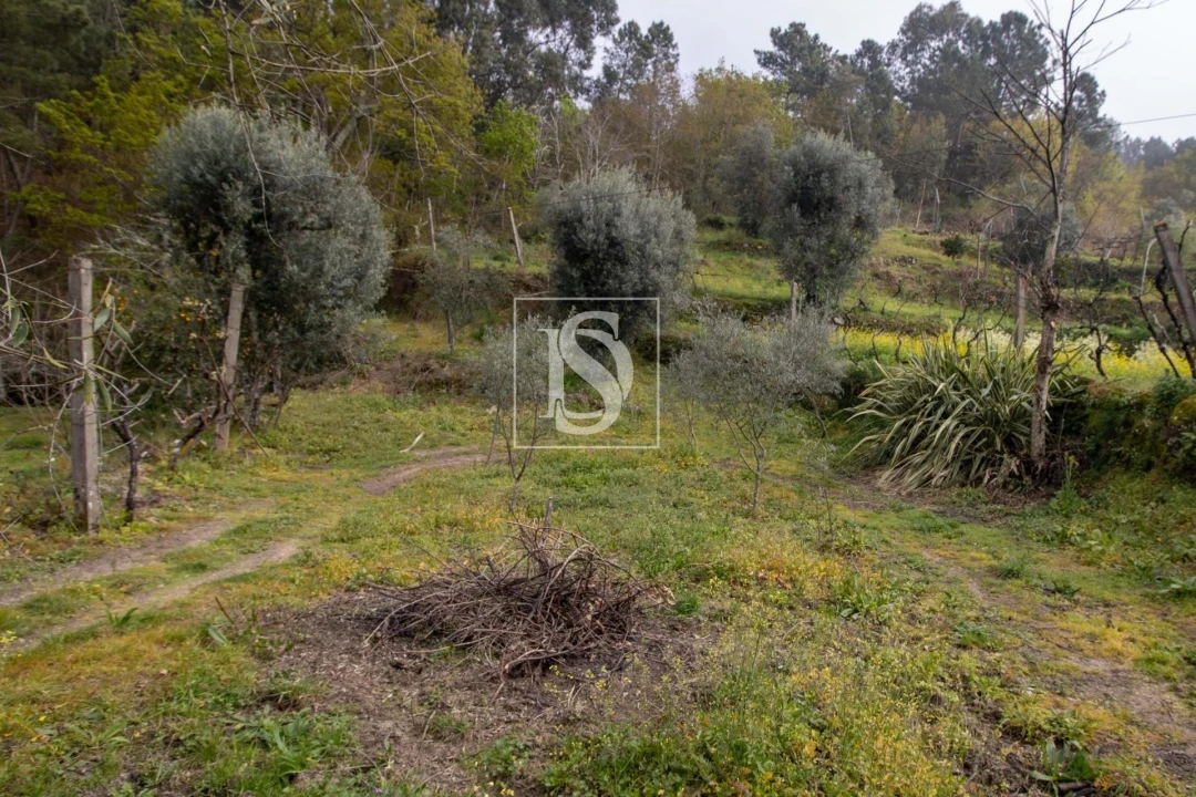 Moradia para Venda em Amarante (São Gonçalo), Madalena, Cepelos e Gatão Foto 24
