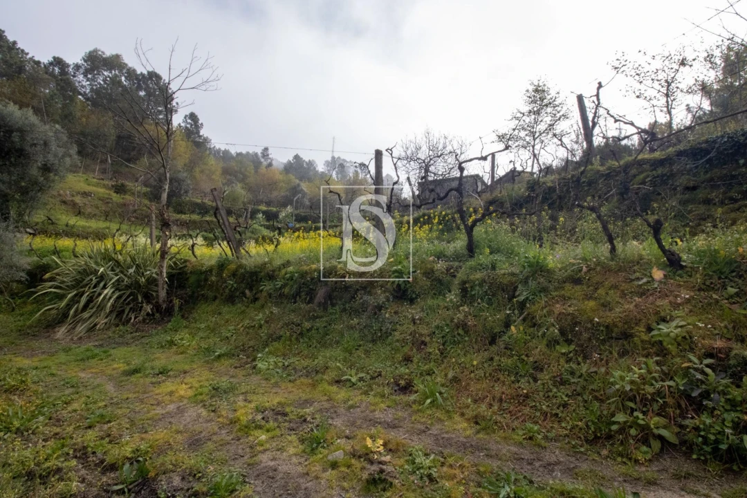 Moradia para Venda em Amarante (São Gonçalo), Madalena, Cepelos e Gatão Foto 25