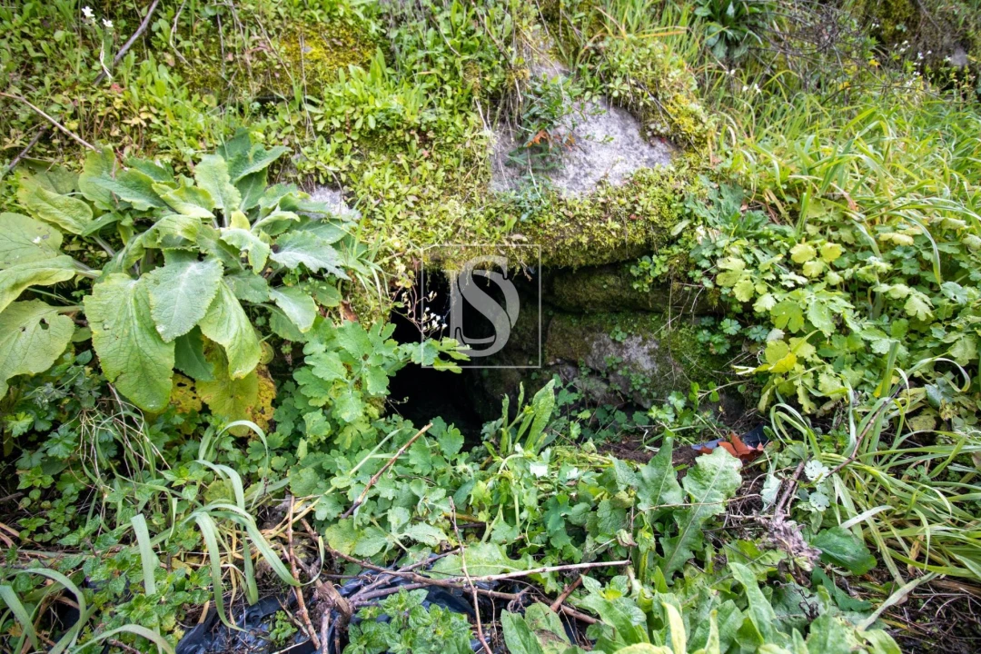 Moradia para Venda em Amarante (São Gonçalo), Madalena, Cepelos e Gatão Foto 30