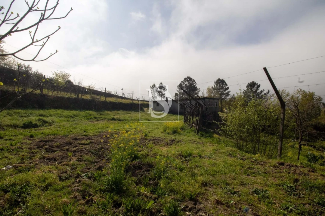 Moradia para Venda em Amarante (São Gonçalo), Madalena, Cepelos e Gatão Foto 34