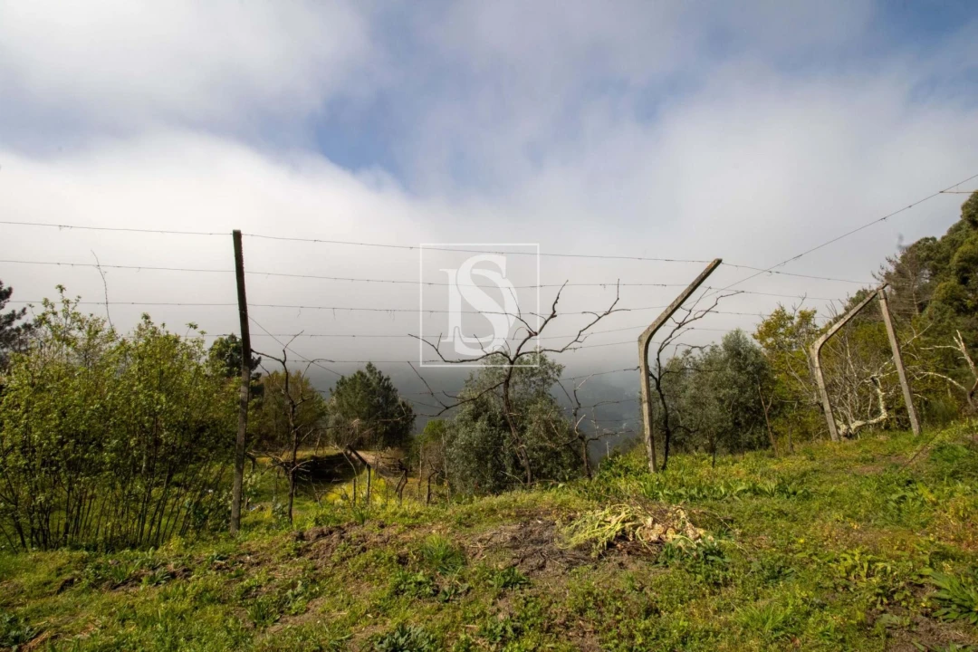 Moradia para Venda em Amarante (São Gonçalo), Madalena, Cepelos e Gatão Foto 36