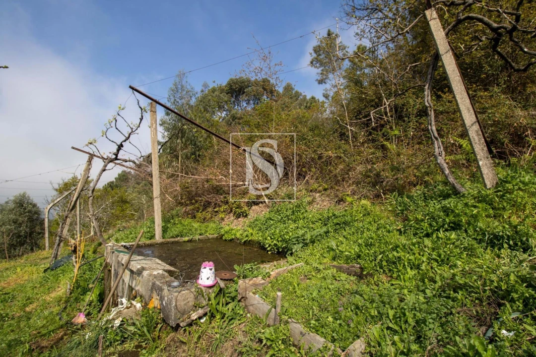 Moradia para Venda em Amarante (São Gonçalo), Madalena, Cepelos e Gatão Foto 38