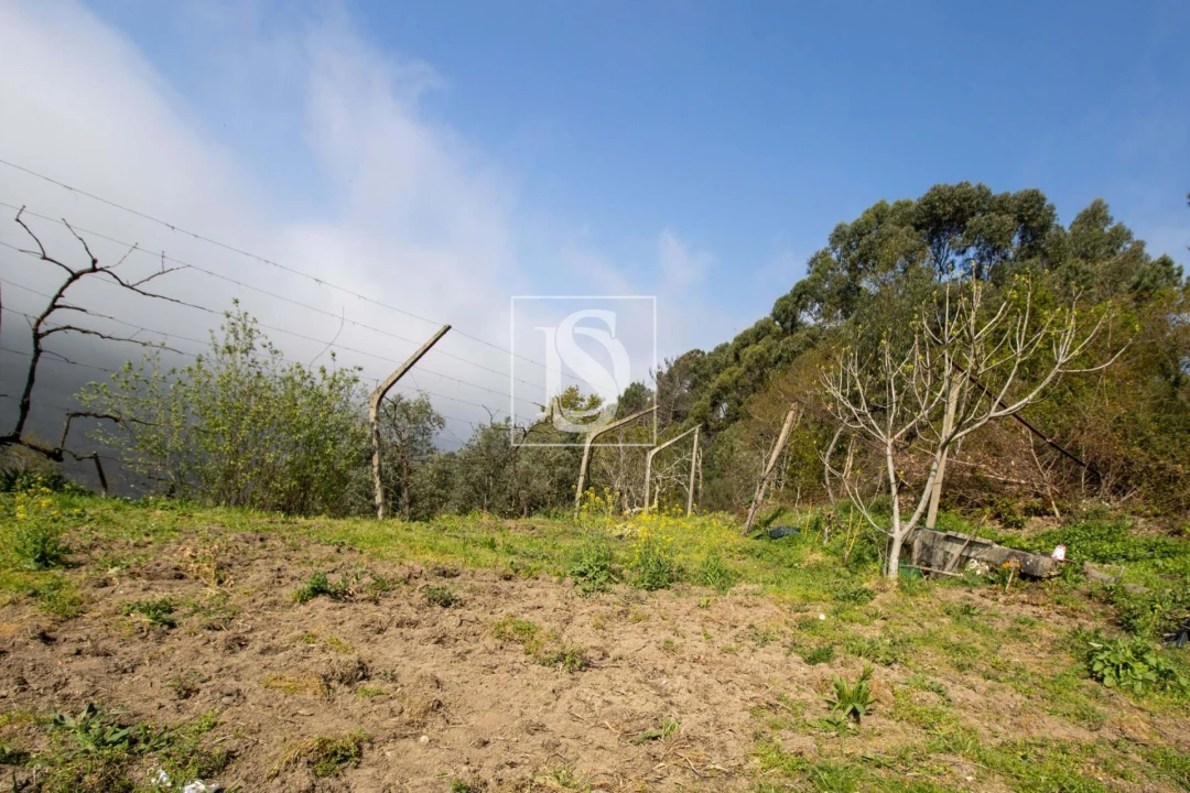 Moradia para Venda em Amarante (São Gonçalo), Madalena, Cepelos e Gatão Foto 39