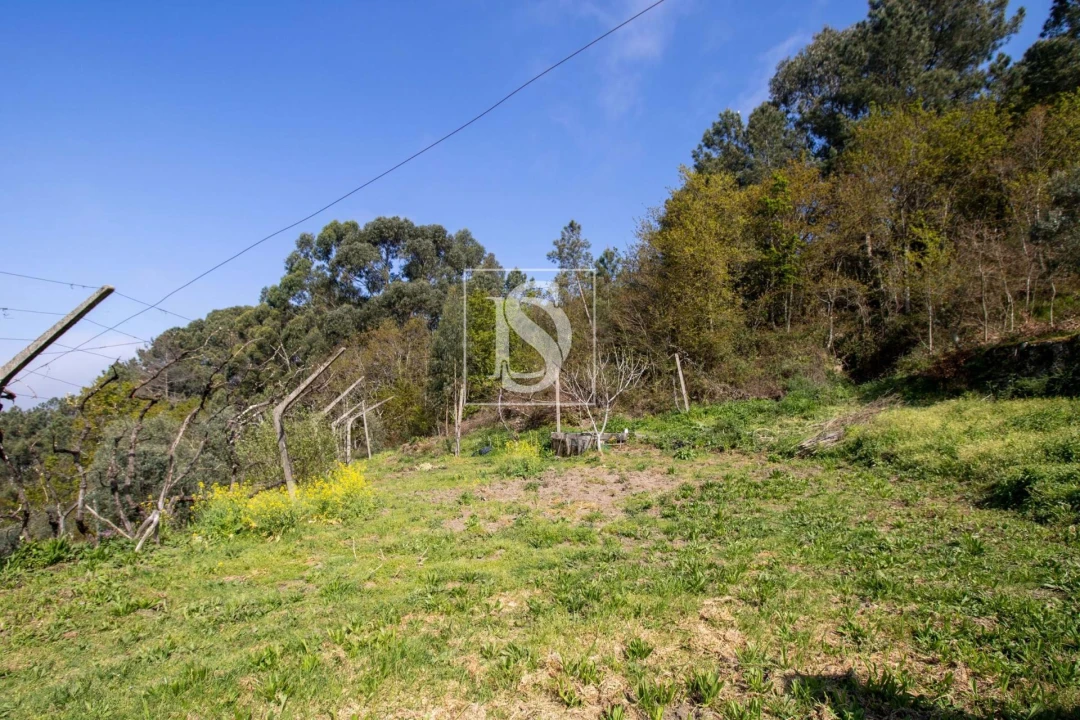 Moradia para Venda em Amarante (São Gonçalo), Madalena, Cepelos e Gatão Foto 43