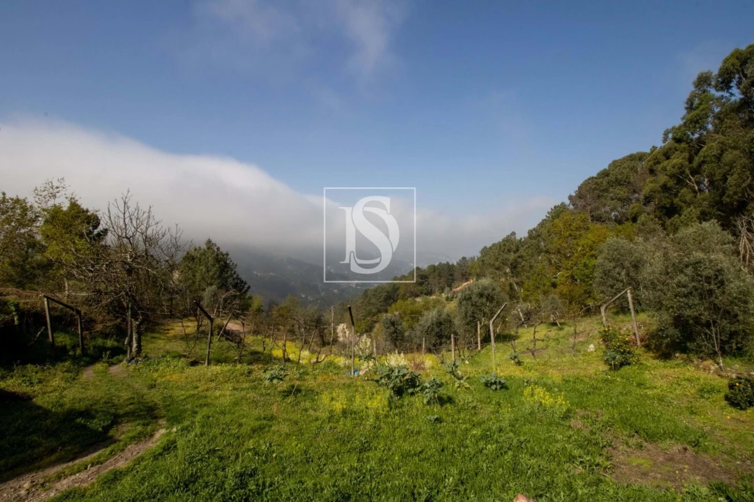 Moradia para Venda em Amarante (São Gonçalo), Madalena, Cepelos e Gatão Foto 44